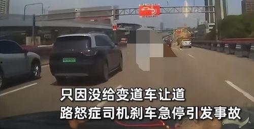 湛江最新爆料撞车视频,惊险瞬间引发网友热议